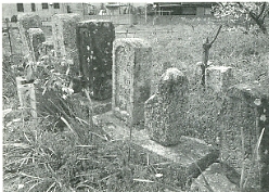 写真1-1-2　松山市南高井町に残る遍路墓