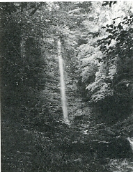 写真2-2-36　巡拝路のほぼ中間にある清滝