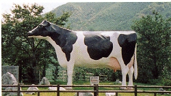 酪農の郷のシンボル「ビッグ・ミル」