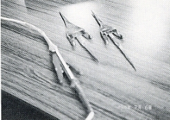 写真3-3-5　五十崎凧博物館保存の「ガガリ」