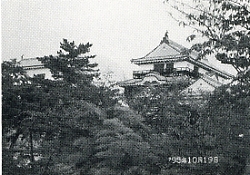 写真3-2-2　「一番すばらしく見える」位置から撮影した松山城の天守閣