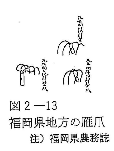 図2-13　福岡県地方の雁爪