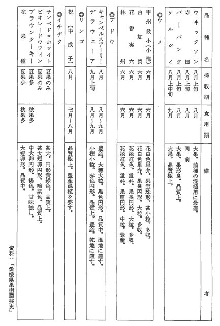 表4-7 愛媛県における主要果樹の種類および品種解説 （昭和一二年） ④