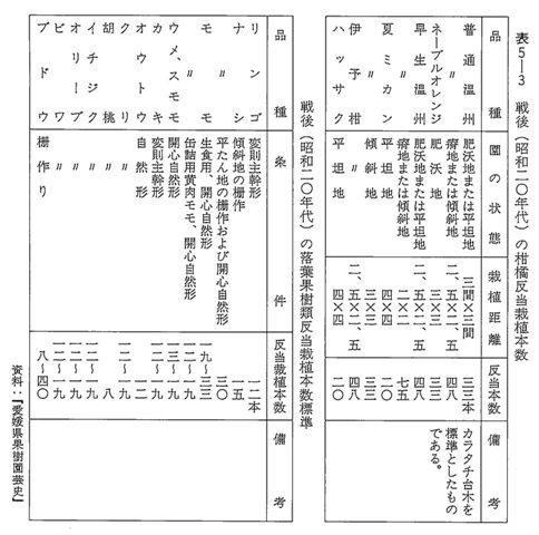 表5-3 戦後 （昭和二〇年代） の柑橘反当栽植本数