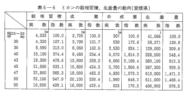 表6-6 ミカンの栽培面積、生産量の動向 （愛媛県）
