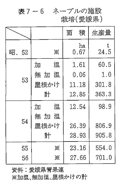 表7-6 ネーブルの施設栽培 （愛媛県）