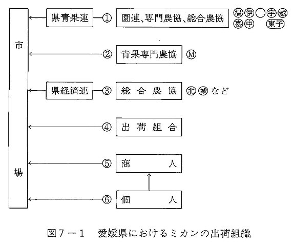 図7-1 愛媛県におけるミカンの出荷組織