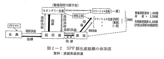 図2-2 SPF豚生産組織の体系図