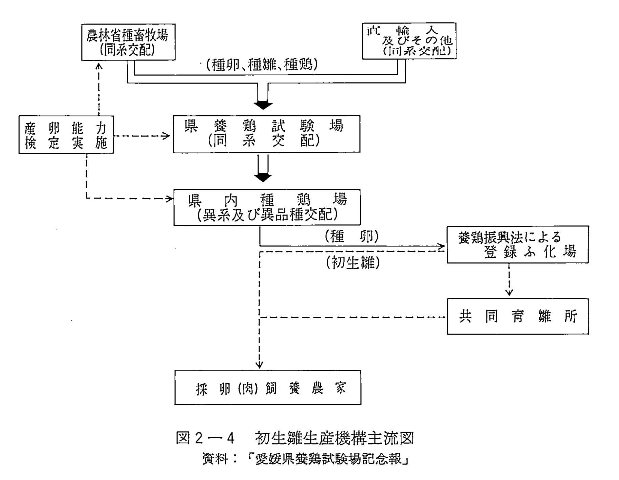 図2-4 初生雛生産機構主流図